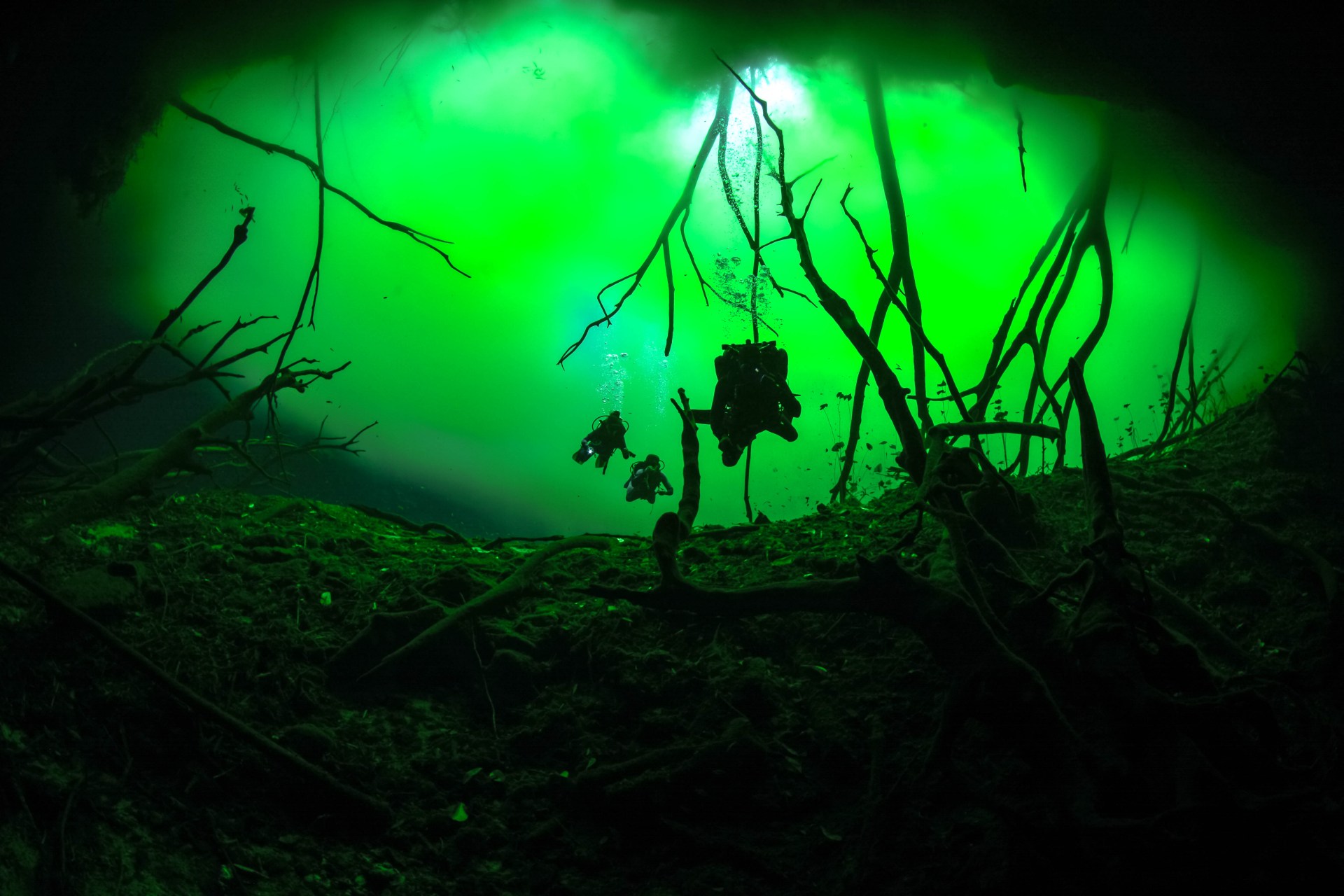 Car Wash Cenote — submerged jungle, green light