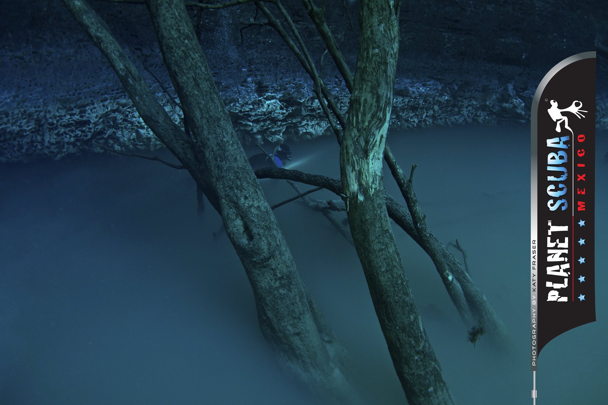 Cenote Angelita — submerged tree skeletons in the H₂S layer