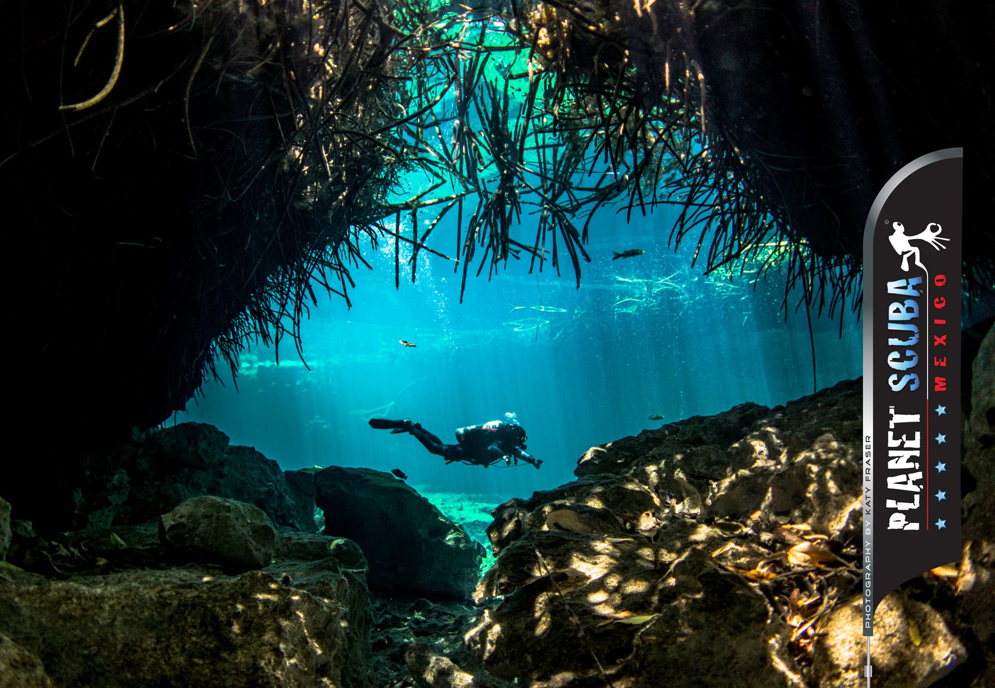Cavern dive — diver entering through tree roots