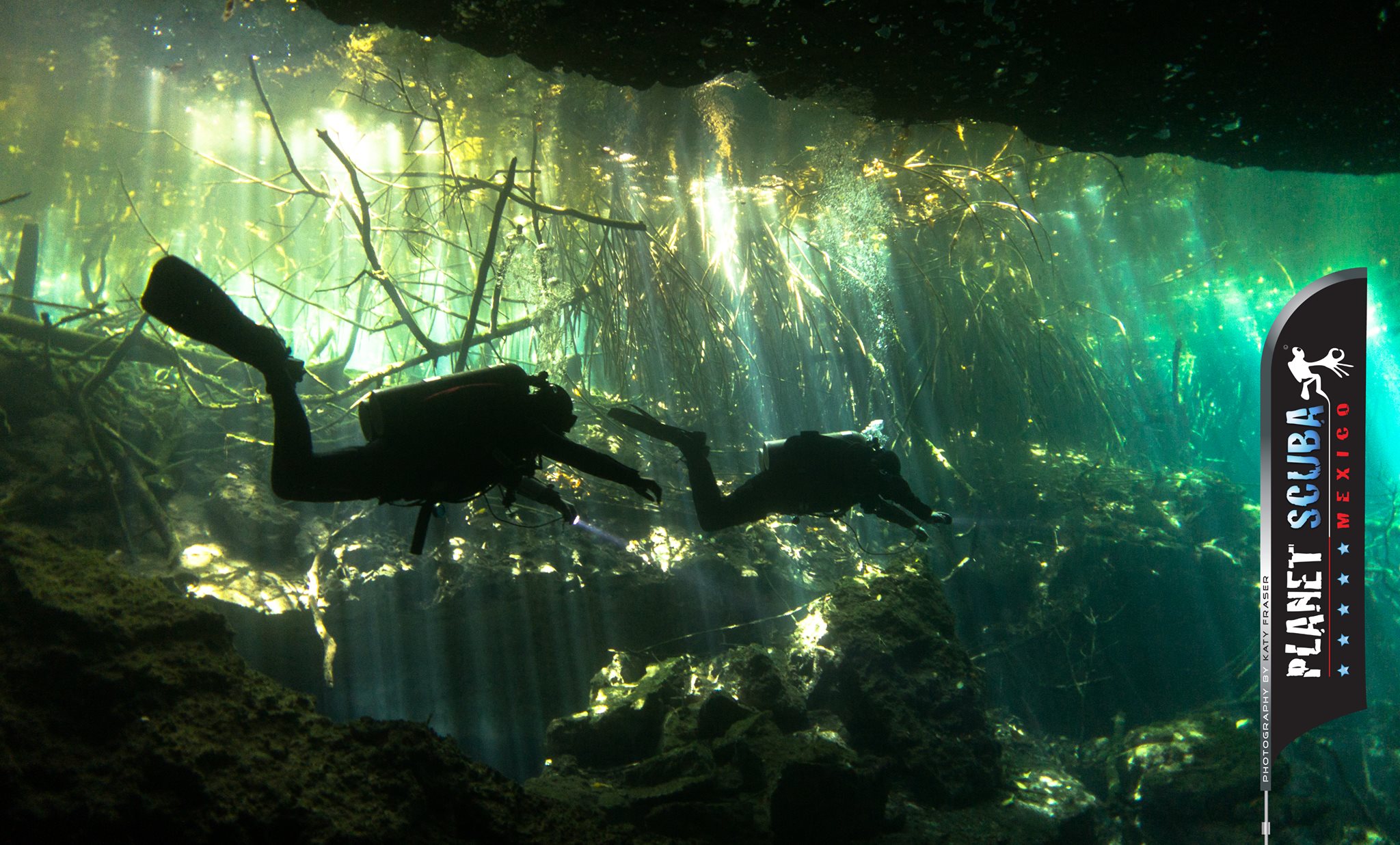 Cenote El Edén — two divers silhouetted under tree roots