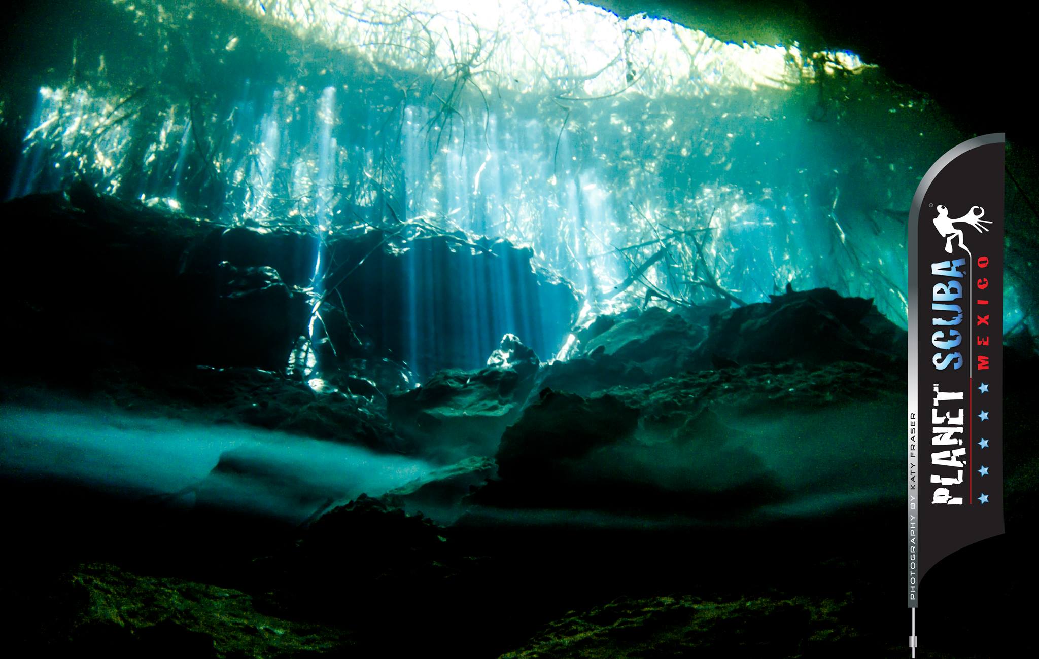 Cenote El Edén — dense tree roots inside the cavern